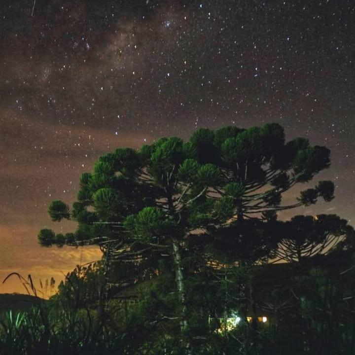 Santo Antônio do PinhalRefugio Horse别墅 外观 照片