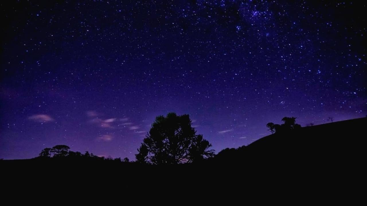 Santo Antônio do PinhalRefugio Horse别墅 外观 照片