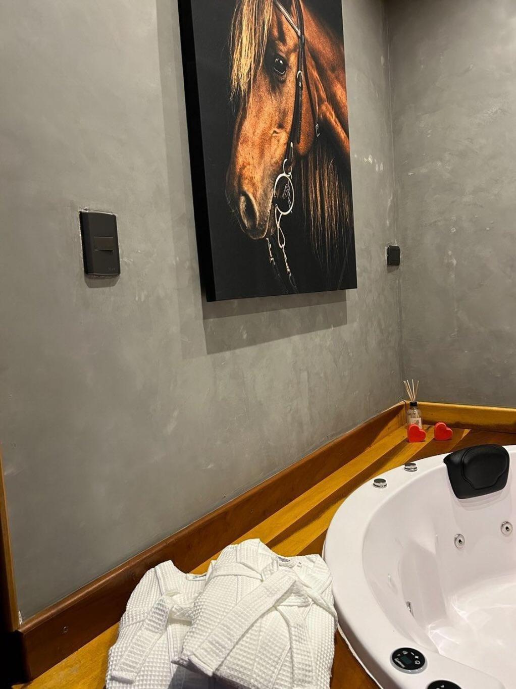 Santo Antônio do PinhalRefugio Horse别墅 客房 照片