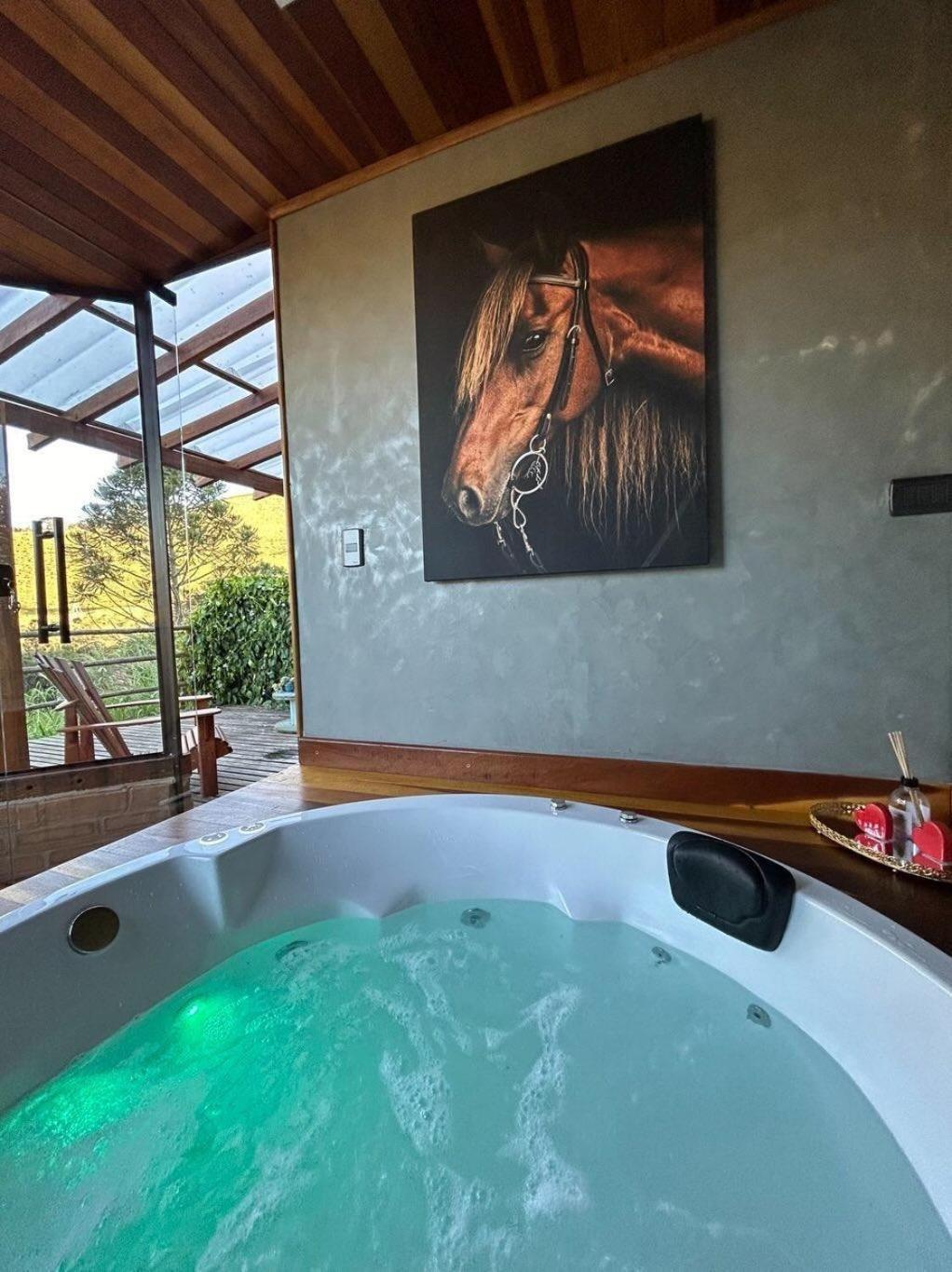 Santo Antônio do PinhalRefugio Horse别墅 外观 照片