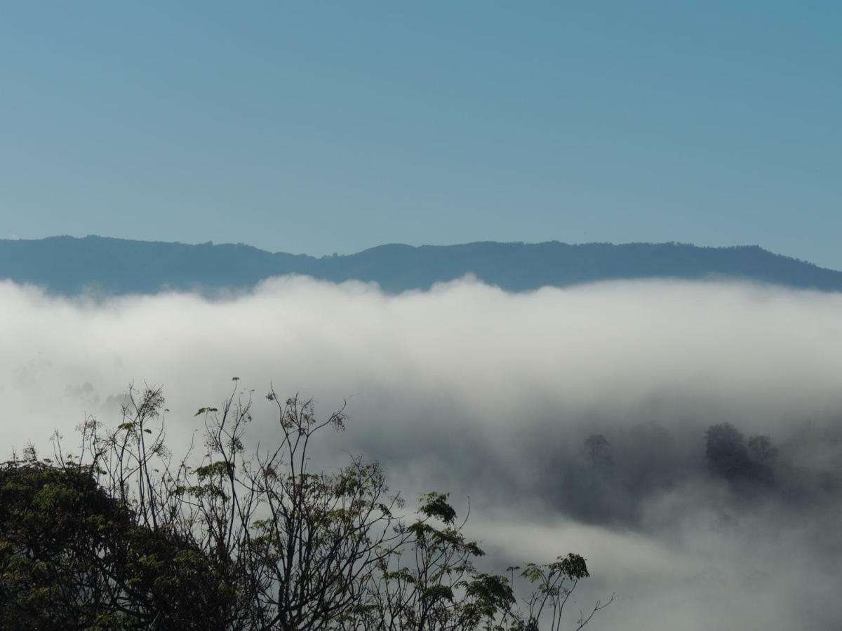 Santo Antônio do PinhalRefugio Horse别墅 外观 照片